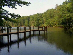 Rio Vista