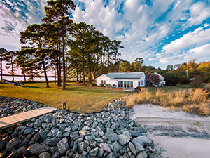 Camelia Cottage