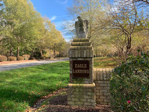 Eagle Landing