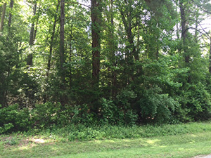 Laurel Point Lot