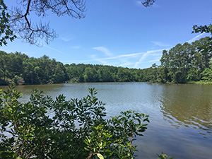 Little River Waterfront Lot